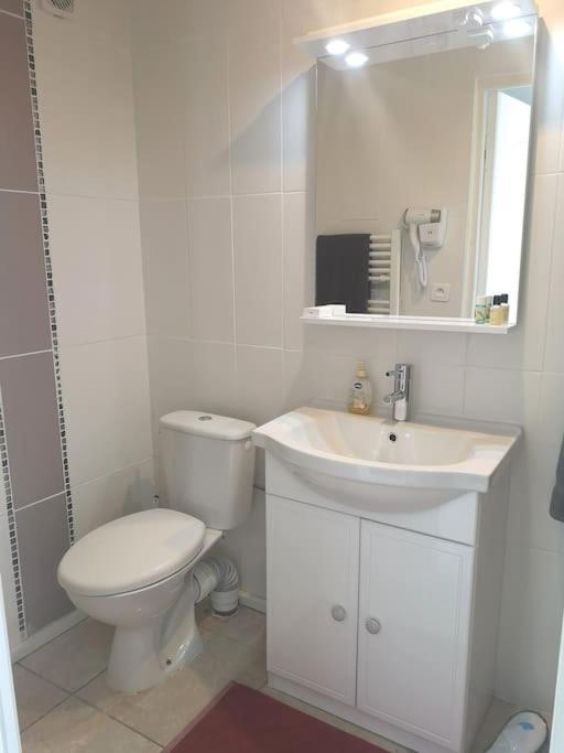 Le Studio Charmant A 20Min De Paris Villennes-sur-Seine Εξωτερικό φωτογραφία